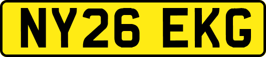 NY26EKG