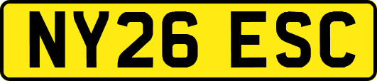 NY26ESC