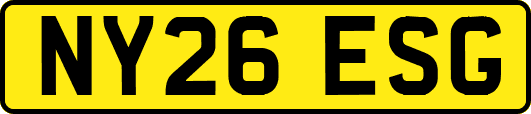 NY26ESG