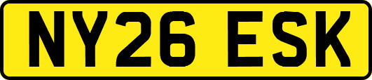 NY26ESK