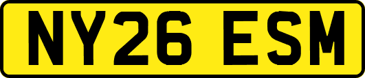 NY26ESM