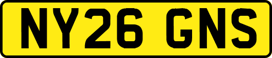 NY26GNS