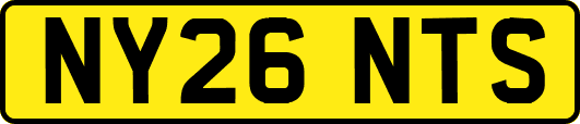 NY26NTS