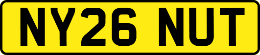 NY26NUT