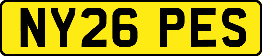 NY26PES