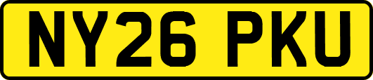 NY26PKU
