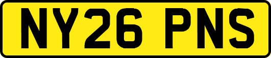 NY26PNS