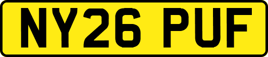 NY26PUF
