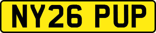 NY26PUP