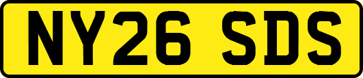 NY26SDS