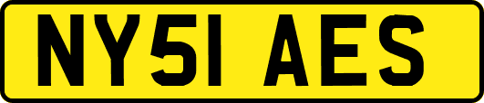 NY51AES