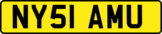 NY51AMU