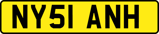 NY51ANH