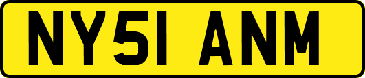 NY51ANM