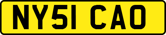 NY51CAO