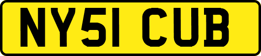 NY51CUB