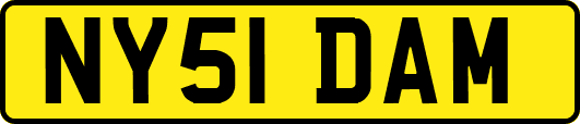 NY51DAM