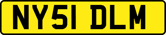 NY51DLM