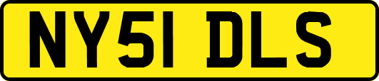 NY51DLS