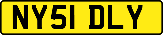 NY51DLY