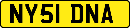 NY51DNA