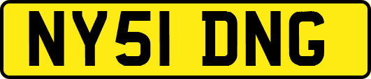 NY51DNG