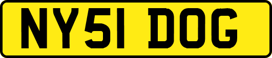 NY51DOG