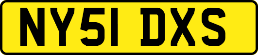 NY51DXS