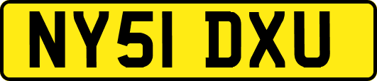 NY51DXU