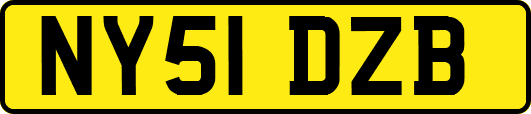 NY51DZB