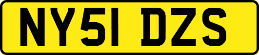 NY51DZS