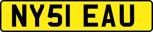 NY51EAU