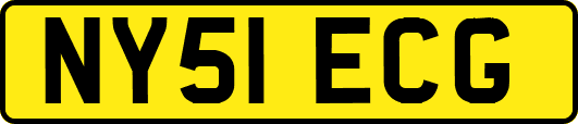 NY51ECG