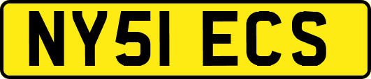 NY51ECS