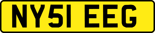 NY51EEG