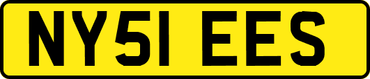 NY51EES