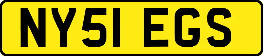 NY51EGS