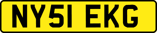 NY51EKG
