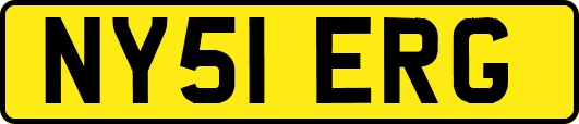 NY51ERG