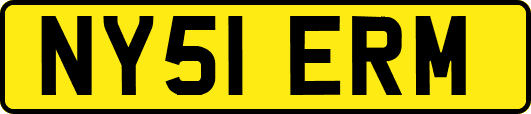 NY51ERM