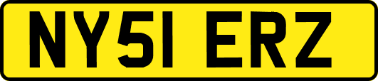 NY51ERZ