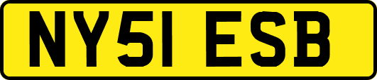 NY51ESB