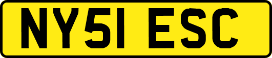 NY51ESC