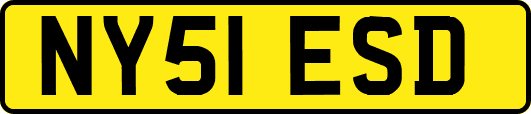 NY51ESD