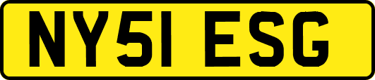 NY51ESG