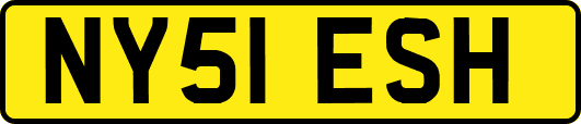 NY51ESH