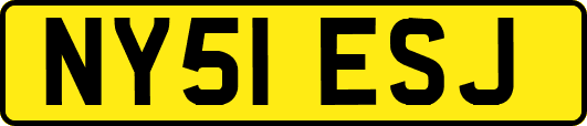 NY51ESJ