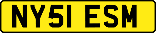 NY51ESM
