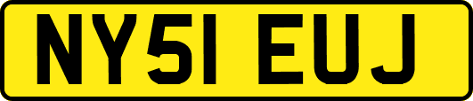 NY51EUJ