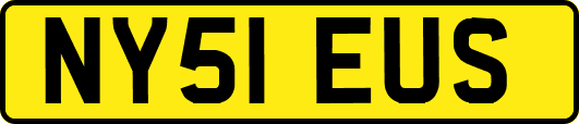 NY51EUS